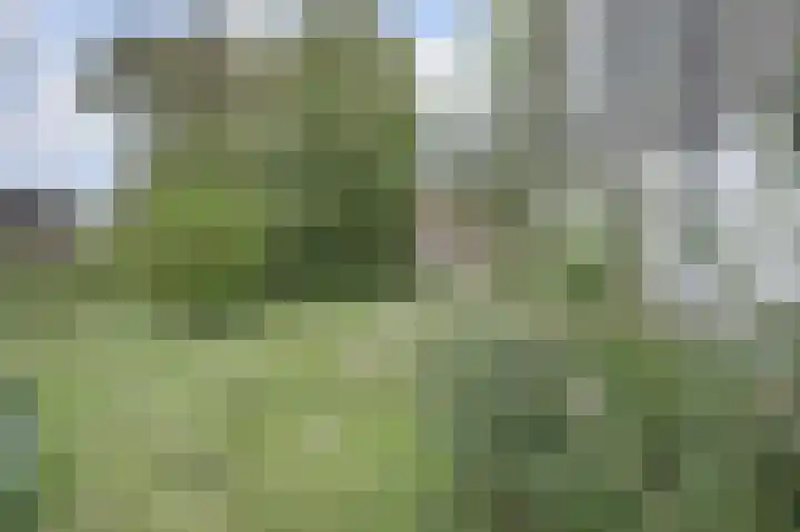 Weereweg 39 Lutjewinkel thumbnail 30