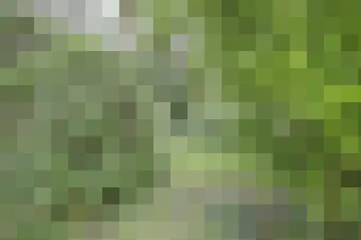 Weereweg 39 Lutjewinkel thumbnail 31