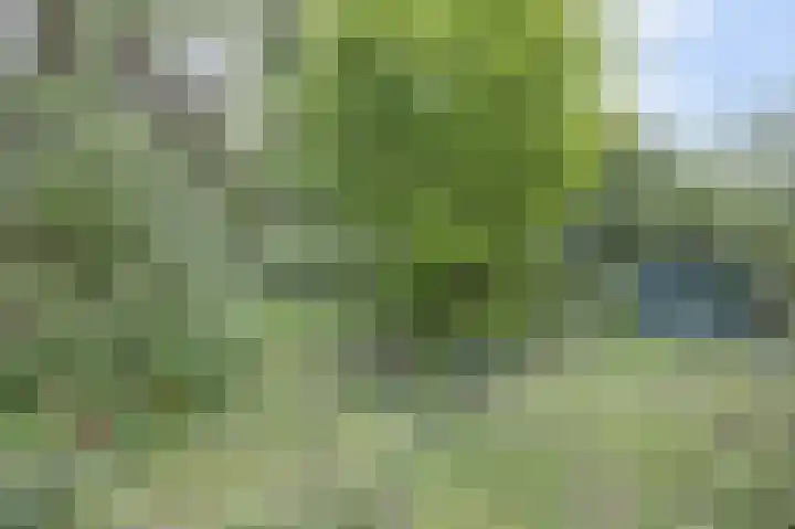 Weereweg 39 Lutjewinkel thumbnail 32