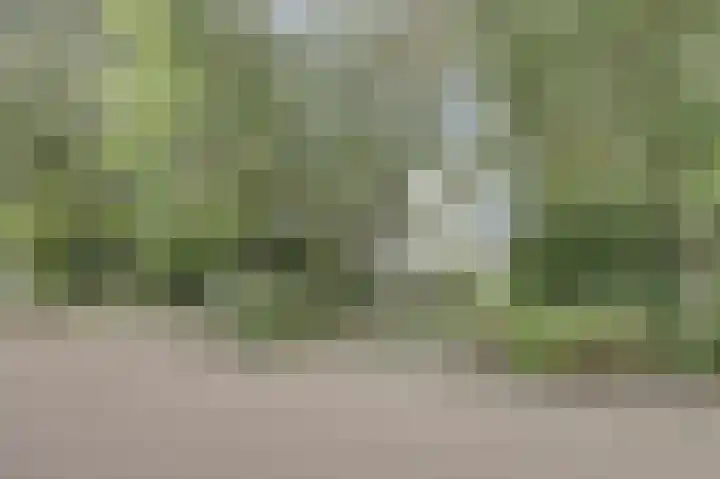 Weereweg 39 Lutjewinkel thumbnail 34