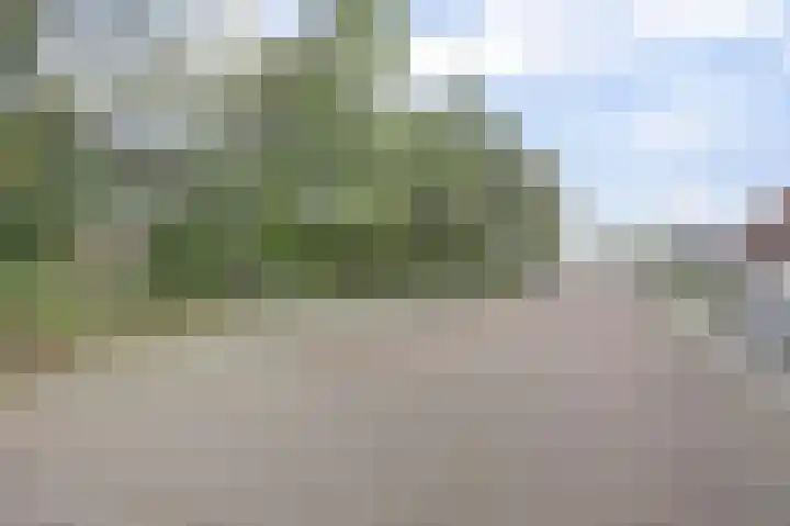 Weereweg 39 Lutjewinkel thumbnail 36