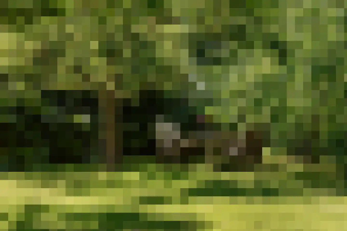 Weereweg 73 Lutjewinkel thumbnail 4