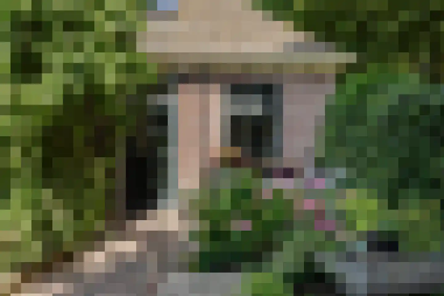 Weereweg 73 Lutjewinkel thumbnail 43