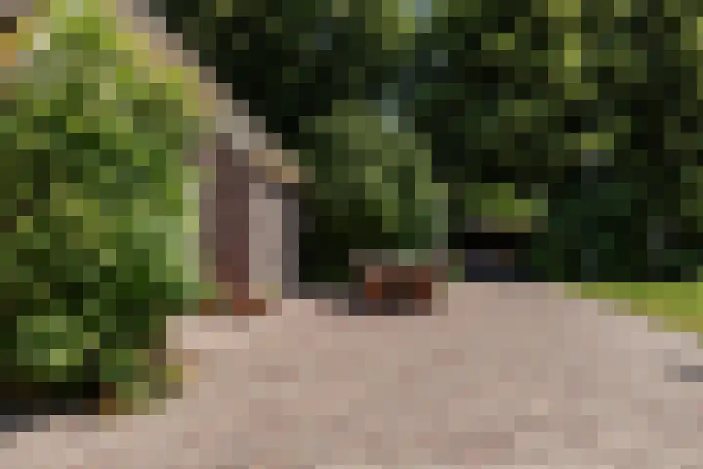 Weereweg 73 Lutjewinkel thumbnail 47