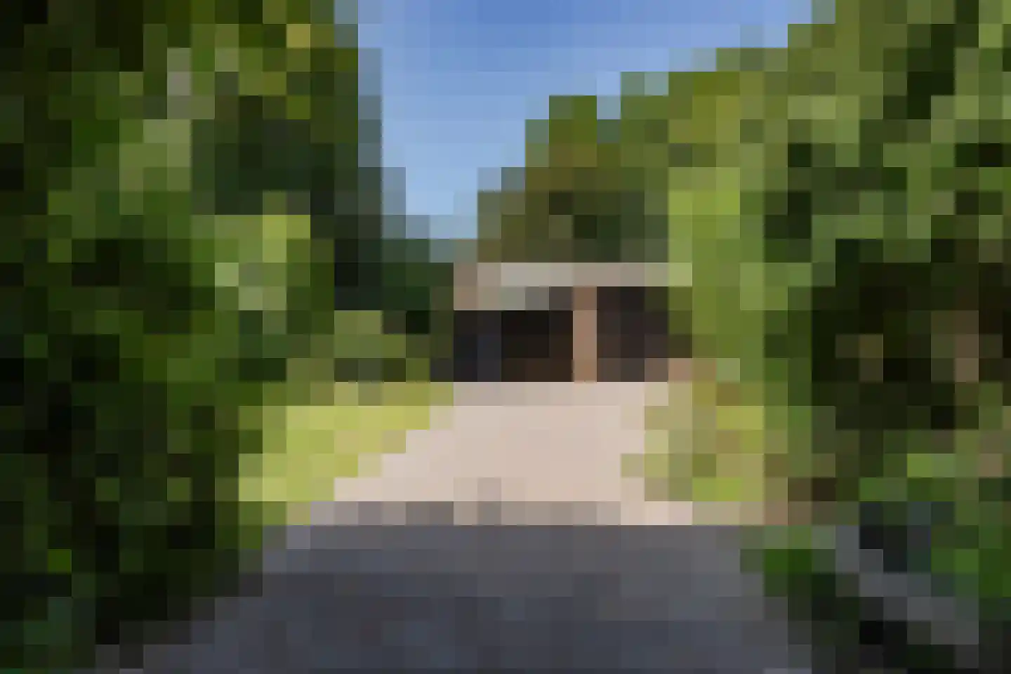 Weereweg 73 Lutjewinkel thumbnail 48