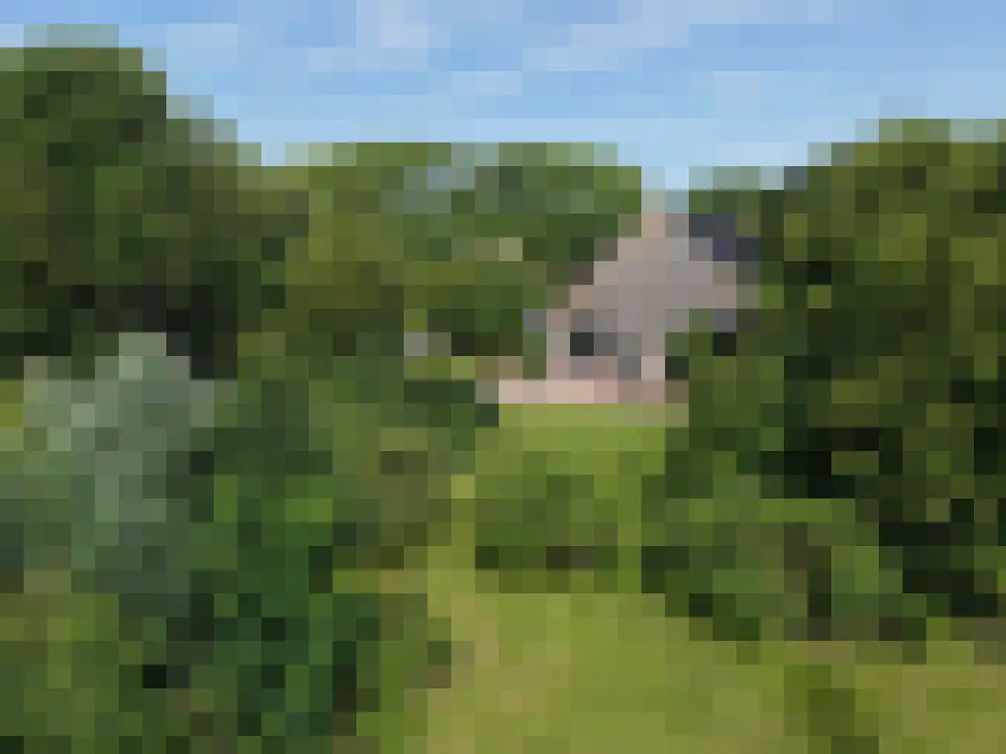 Weereweg 73 Lutjewinkel thumbnail 5