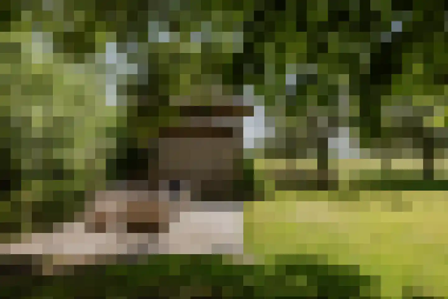 Weereweg 73 Lutjewinkel thumbnail 50