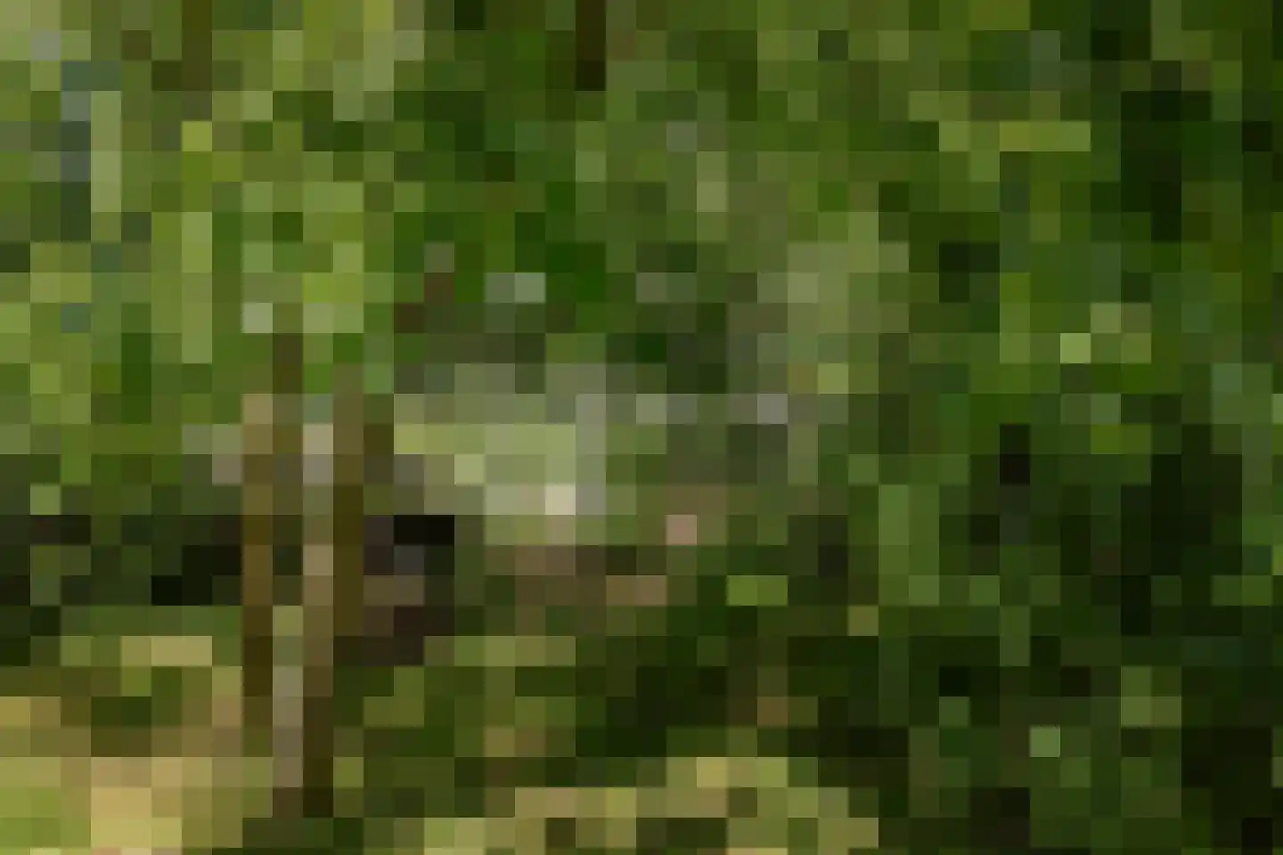 Weereweg 73 Lutjewinkel thumbnail 51