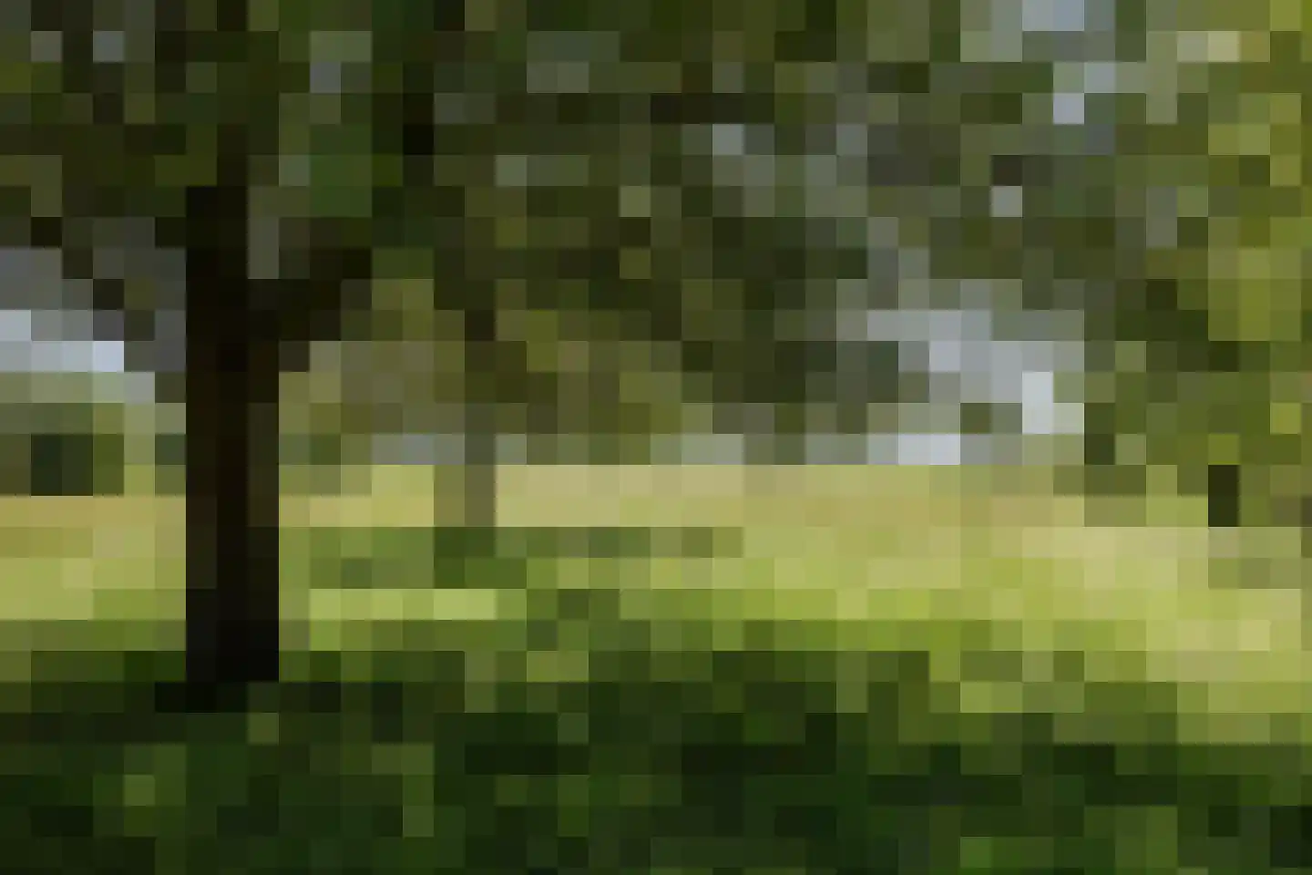 Weereweg 73 Lutjewinkel thumbnail 53