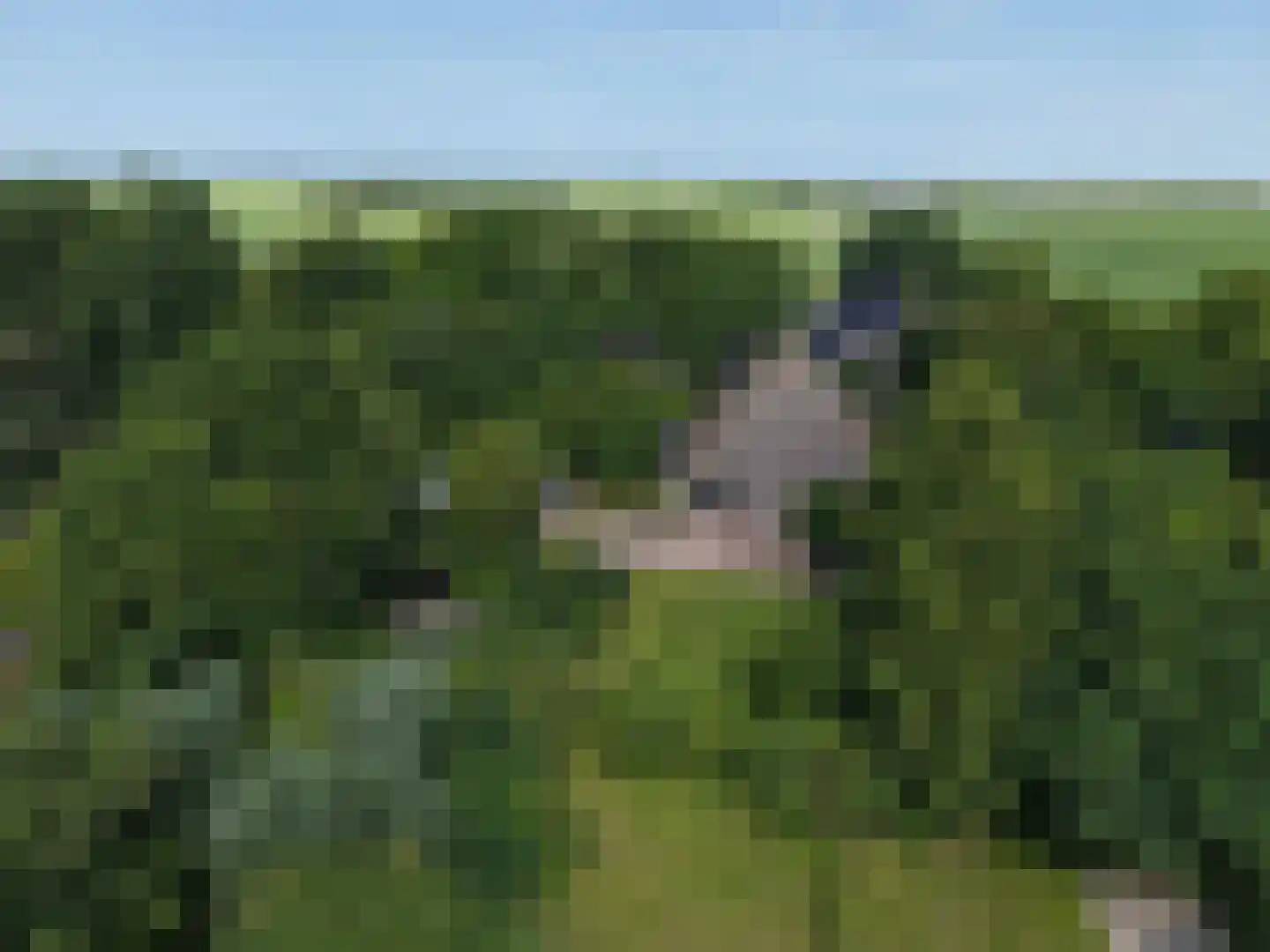 Weereweg 73 Lutjewinkel thumbnail 59