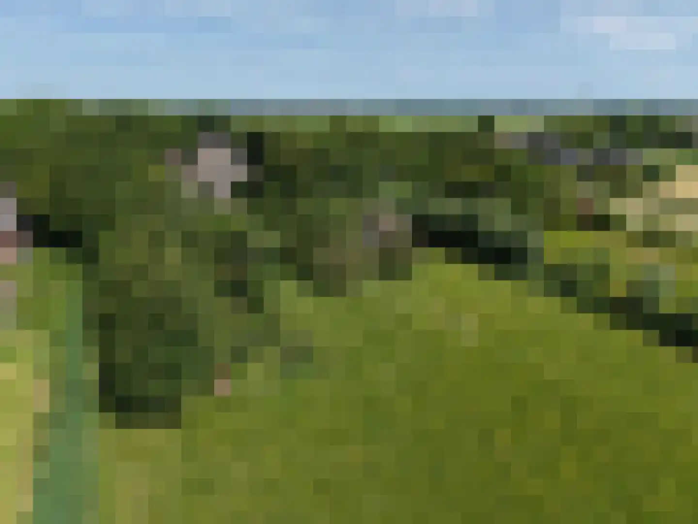 Weereweg 73 Lutjewinkel thumbnail 62