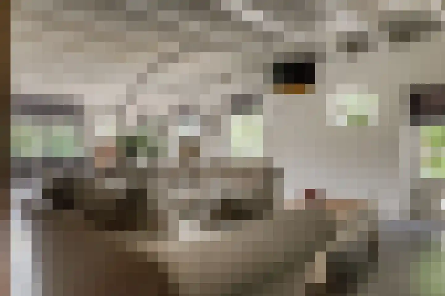 Weereweg 73 Lutjewinkel thumbnail 8