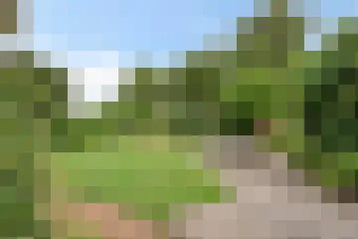 Weereweg 74 Lutjewinkel thumbnail 20