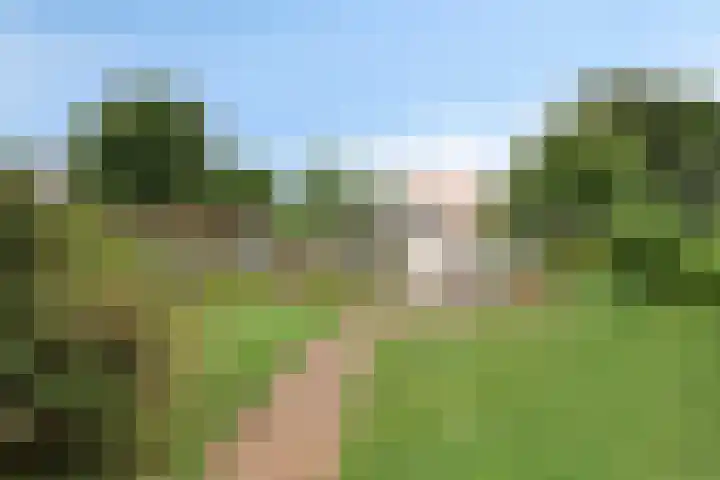 Weereweg 74 Lutjewinkel thumbnail 22