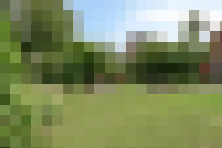 Weereweg 74 Lutjewinkel thumbnail 23