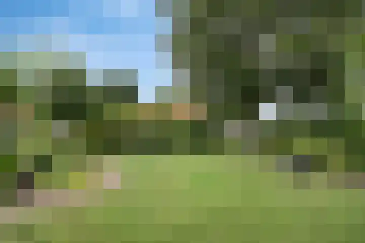 Weereweg 74 Lutjewinkel thumbnail 26