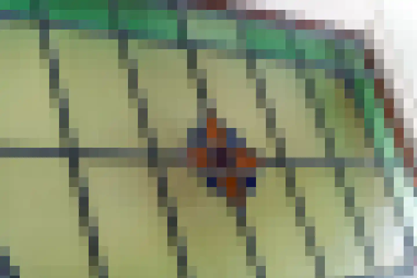 Weergang 10 Meteren thumbnail 15
