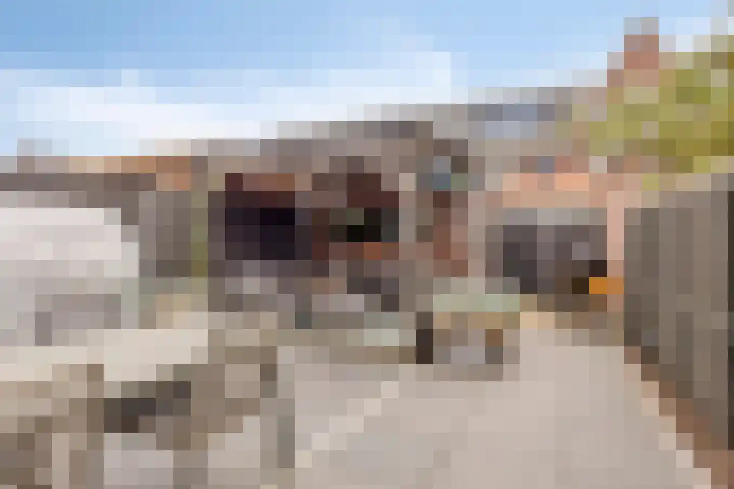 Weergang 18 Bergambacht thumbnail 13