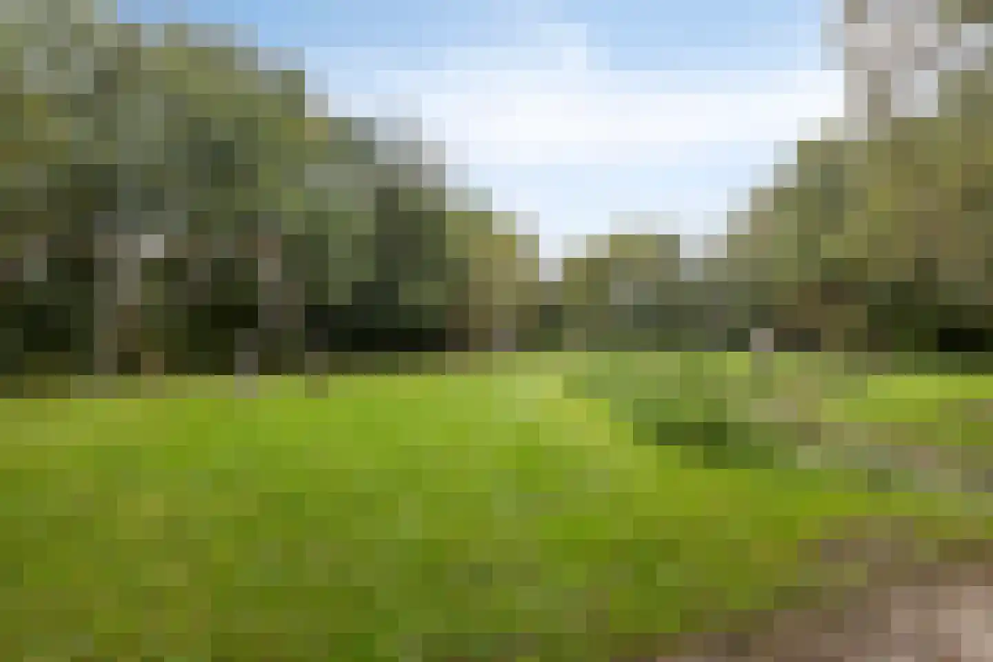 Weergang 18 Bergambacht thumbnail 16