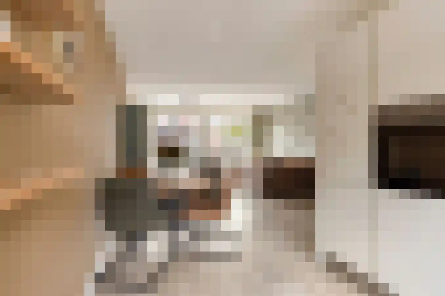 Weergang 18 Bergambacht thumbnail 24