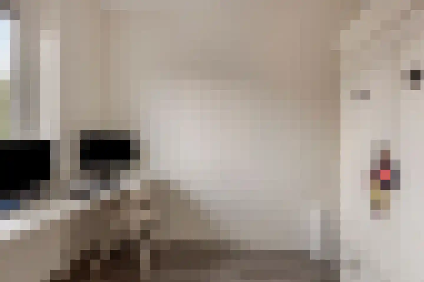 Weergang 18 Bergambacht thumbnail 29