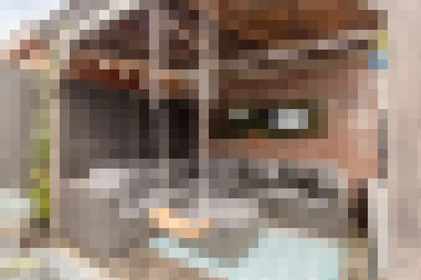 Weergang 18 Bergambacht thumbnail 37