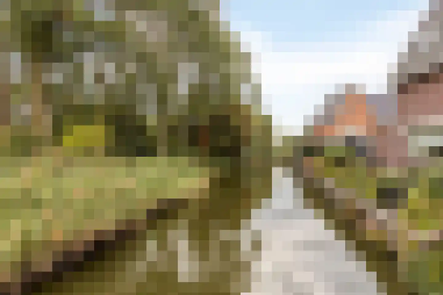 Weergang 18 Bergambacht thumbnail 38