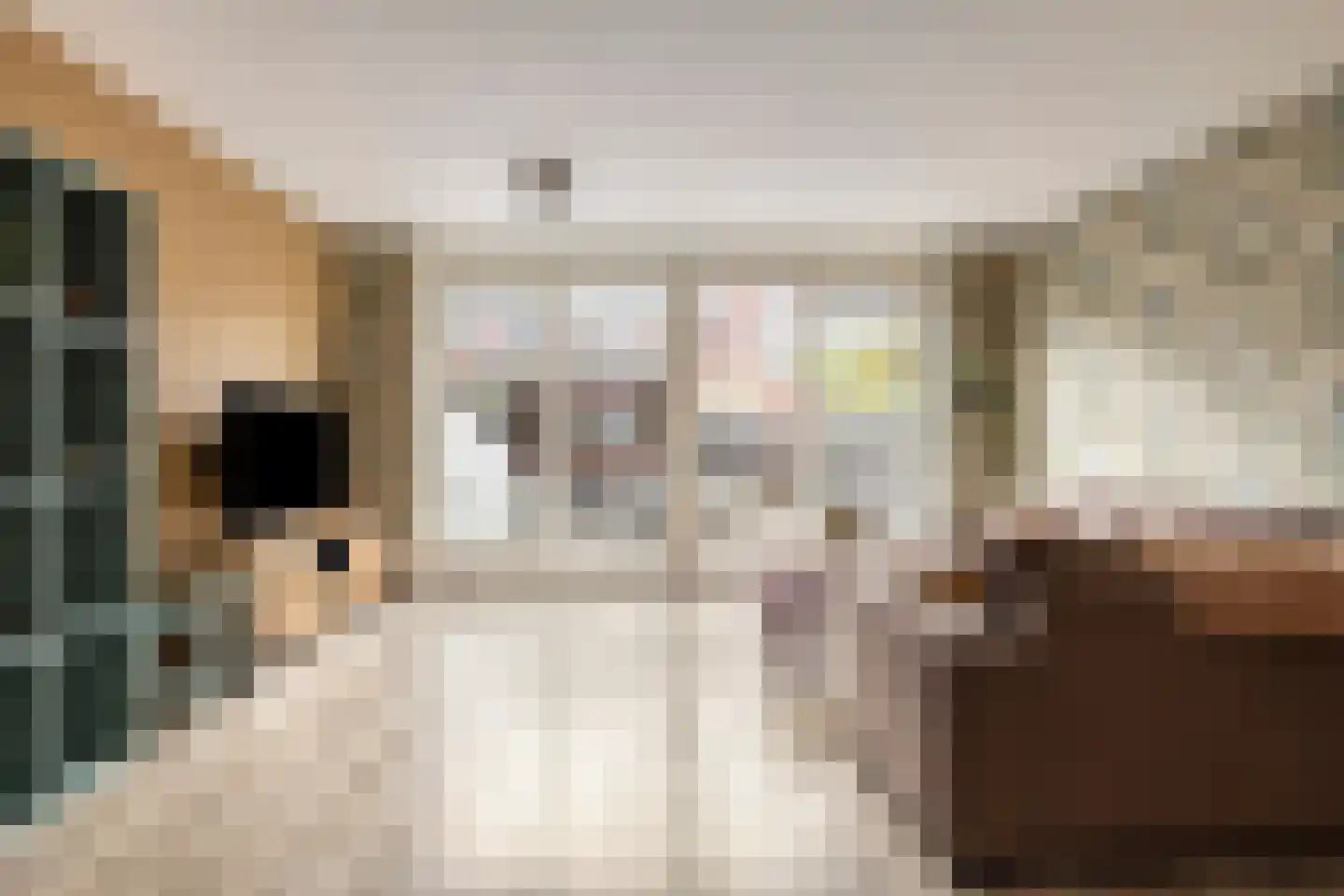 Weergang 18 Bergambacht thumbnail 5