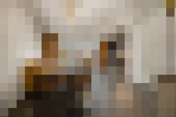 Weergang 2 Geertruidenberg thumbnail 14