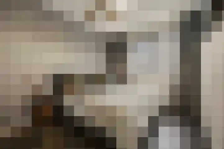 Weergang 2 Geertruidenberg thumbnail 17