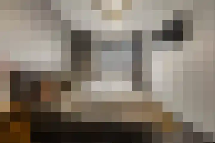 Weergang 2 Geertruidenberg thumbnail 18