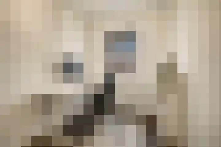 Weergang 2 Geertruidenberg thumbnail 20