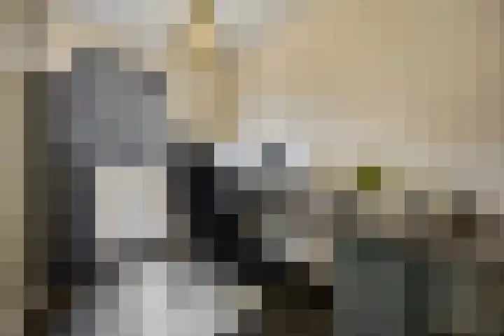 Weergang 2 Geertruidenberg thumbnail 22
