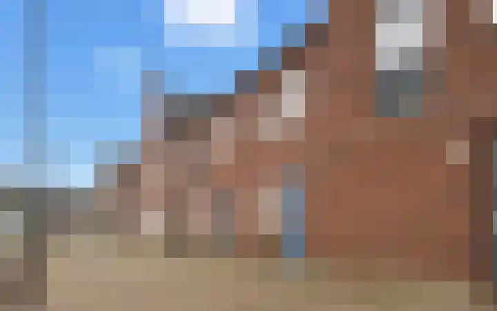 Weergang 2 Geertruidenberg thumbnail 4