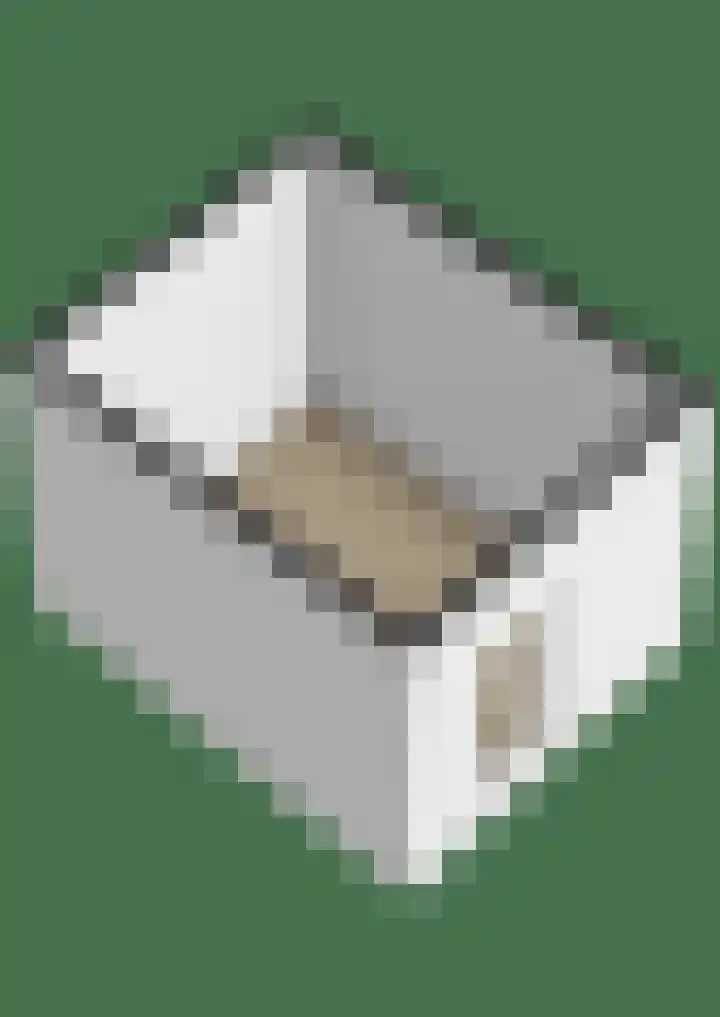 Weergang 2 Geertruidenberg thumbnail 44