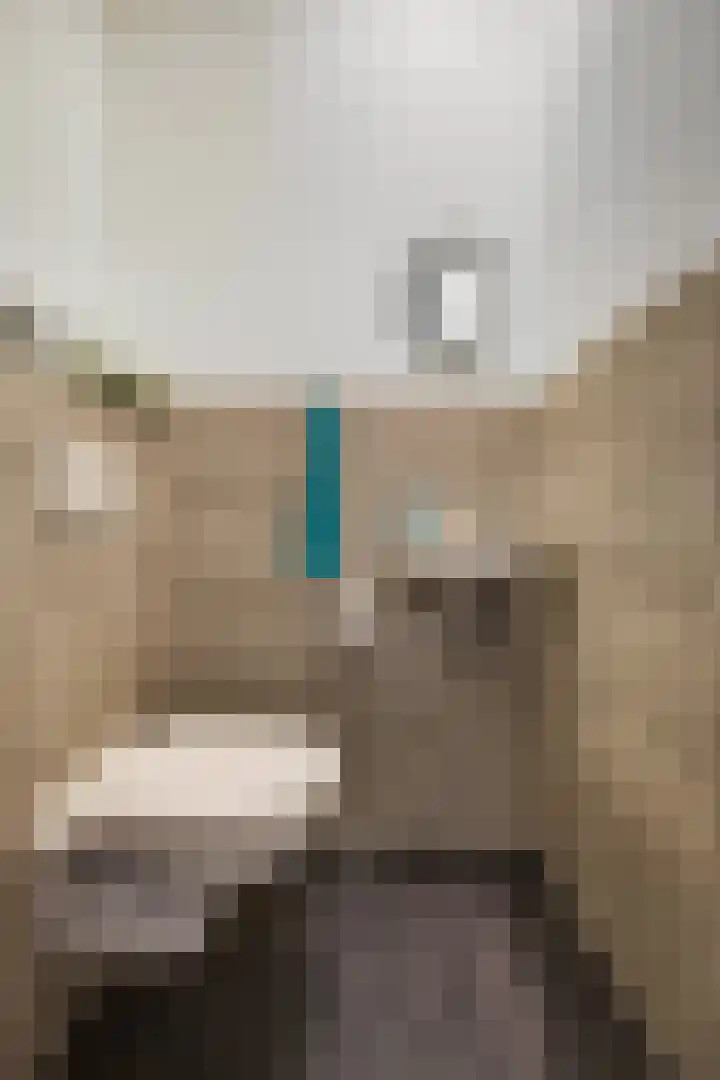 Weergang 2 Geertruidenberg thumbnail 5