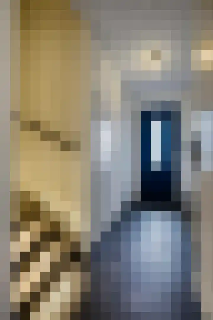 Weergang 2 Geertruidenberg thumbnail 6