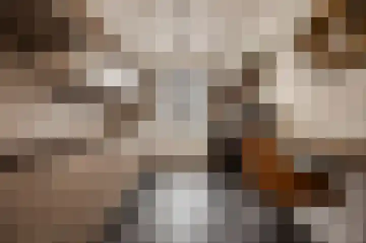 Weergang 2 Geertruidenberg thumbnail 7