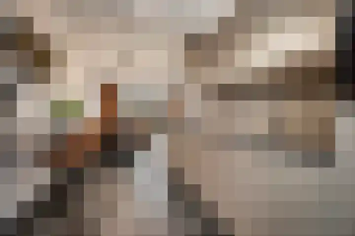 Weergang 2 Geertruidenberg thumbnail 8