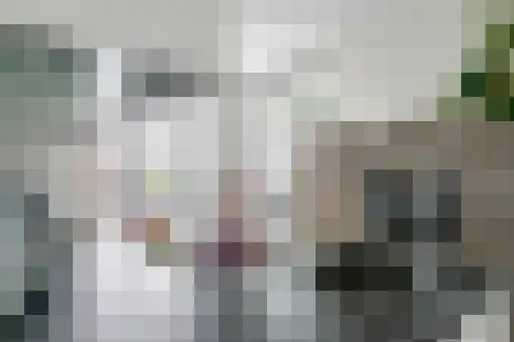 Weergang 20 Meteren thumbnail 11
