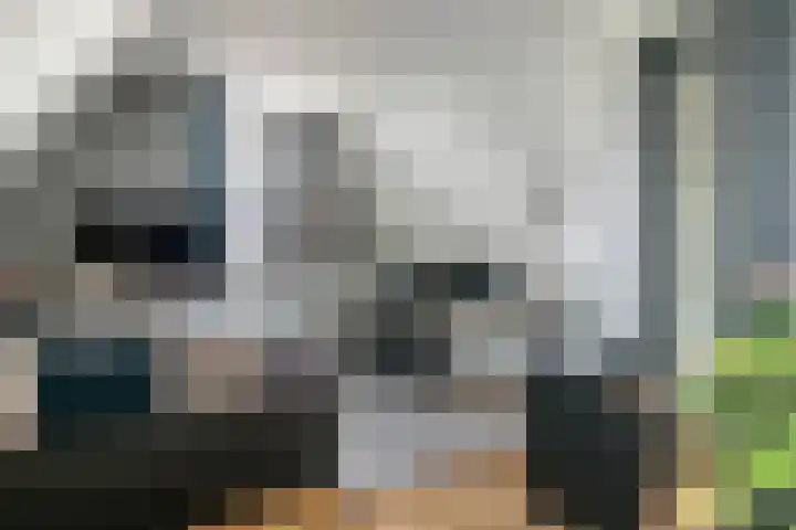 Weergang 20 Meteren thumbnail 24