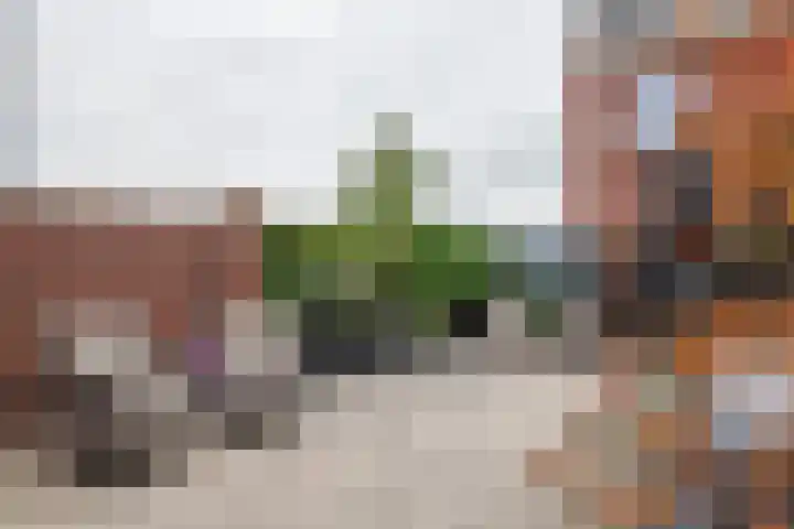 Weergang 20 Meteren thumbnail 28