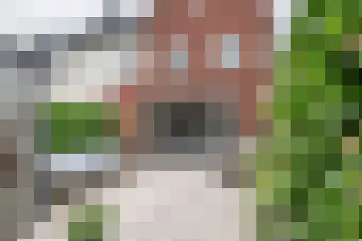 Weergang 20 Meteren thumbnail 29