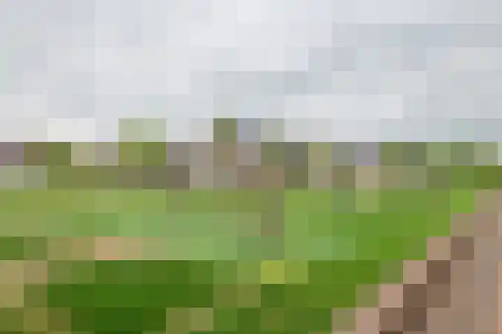 Weergang 20 Meteren thumbnail 32