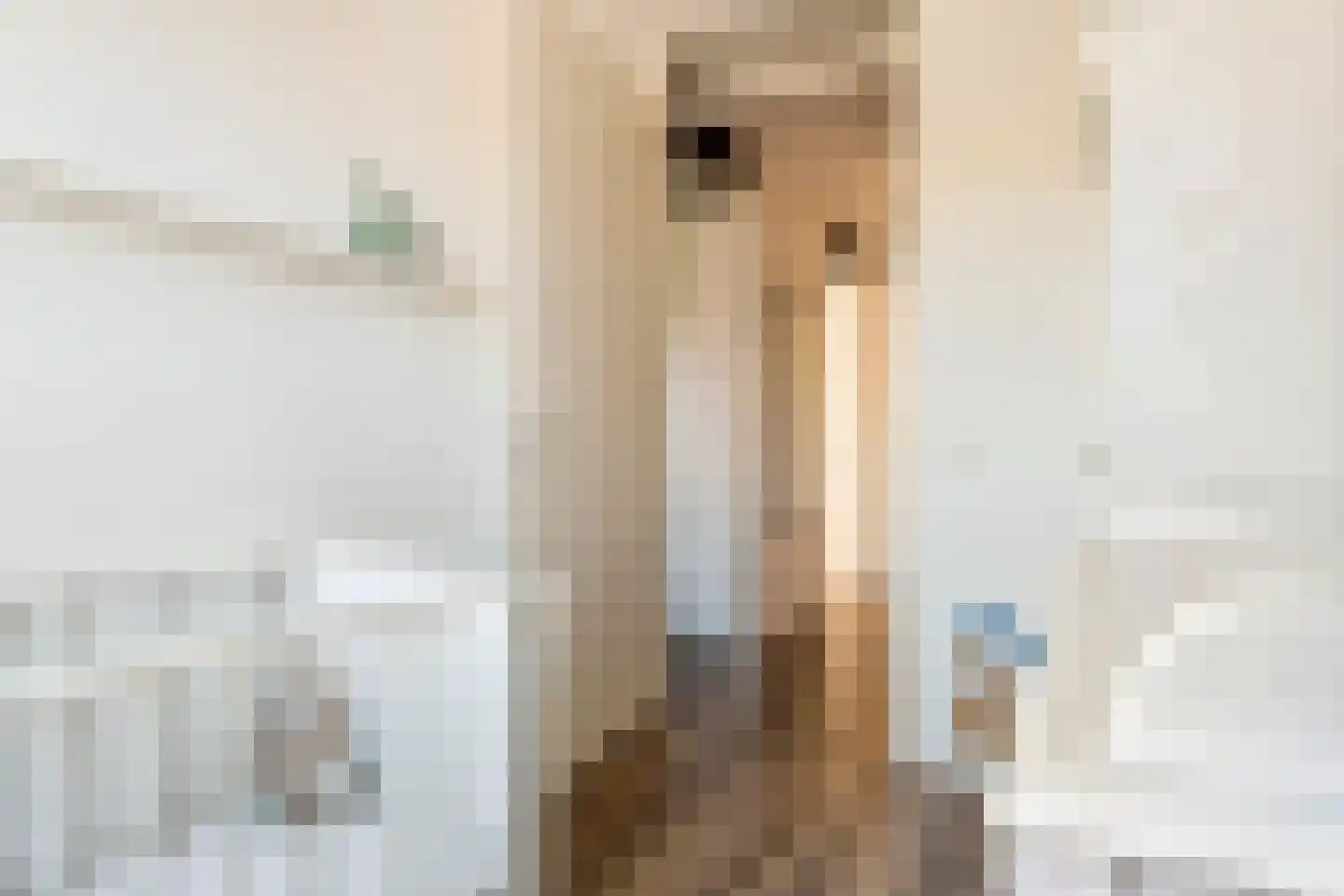 Weergang 6 Meteren thumbnail 17