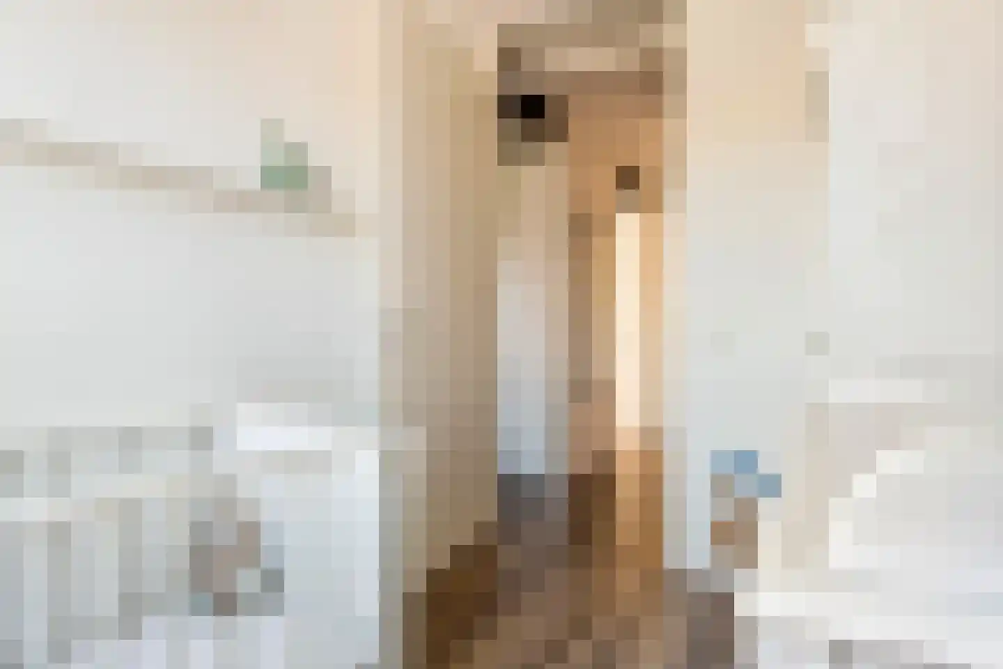 Weergang 6 Meteren thumbnail 20