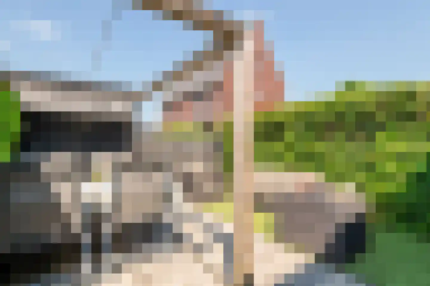 Weergang 6 Meteren thumbnail 29