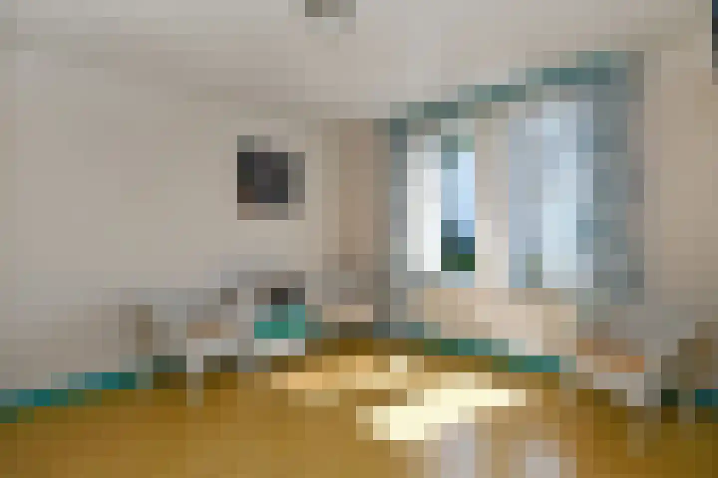Weergraaf 18 Horn thumbnail 18