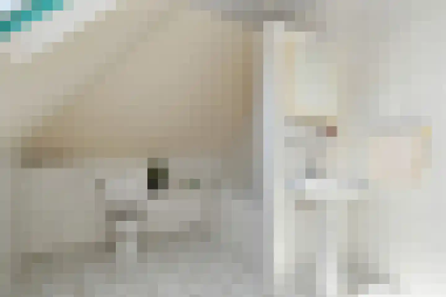 Weergraaf 18 Horn thumbnail 21