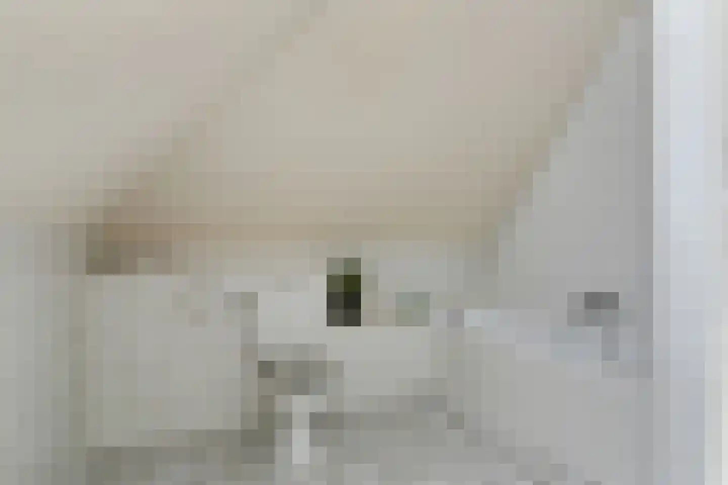 Weergraaf 18 Horn thumbnail 22